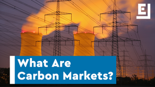 What Are Carbon Markets and Can They Save the Planet?